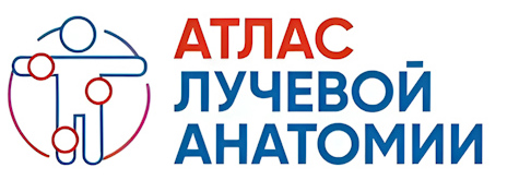 Логотип Atlas of Radiological Anatomy